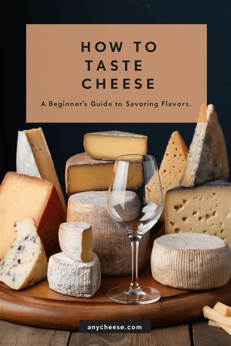 How To Taste Cheese A Beginners Guide To Savoring Flavors Anycheese Blog