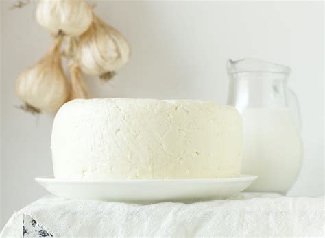 5 Homemade Cheese Recipes That Are Super Easy to Make Yourself ...