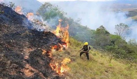 Bolivia Declara Emergencia Nacional Por Incendios Forestales Ante Desastre De Beni Crónica Viva