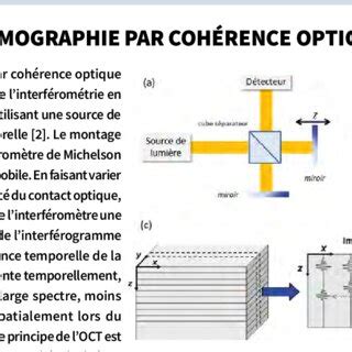 Figure Principe De La Tomographie Par Coh Rence Optique Oct A