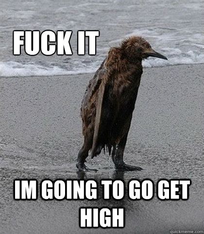 Fuck It Im Going To Go Get Drunk Fuck It Quickmeme