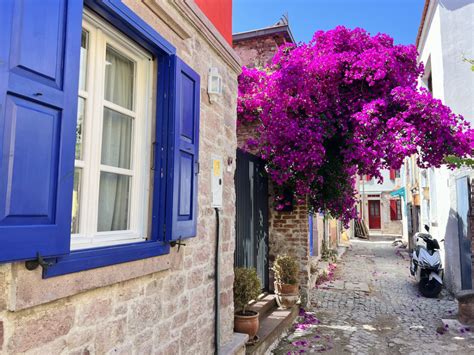 Ayvalık Travel Guide: You Need to Visit This Turkish Aegean Gem - Let's ...