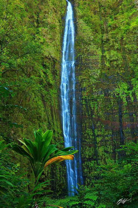 H046 Makahiku Falls Maui Hawaii Randall J Hodges Photography