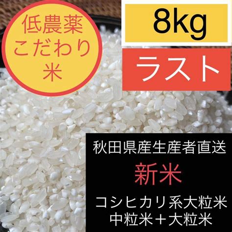 【中米】令和3年新米 山形県庄内産 中粒米 白米25kg Blogknakjp