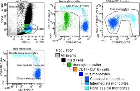 Gating Strategy And Population Hierarchy First Monocytes Were Roughly