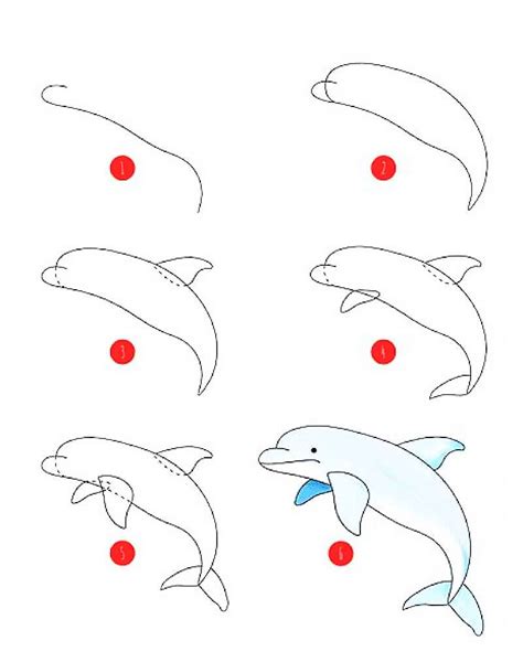 How To Draw A Dolphin Idea 7 Step By Step Drawing Photos