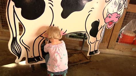 60 Girls Being Milked Stock Videos And Royalty Free Footage Istock