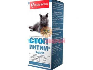 Apicenna (Апиценна) - Стоп-Интим капли для котов для регуляции половой ...