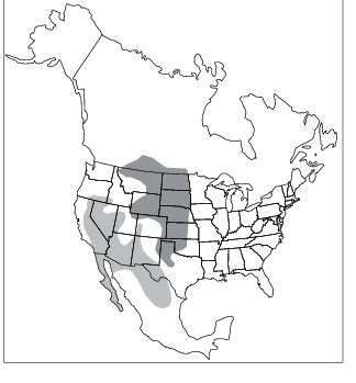 range   swift fox dark   kit fox light  north america