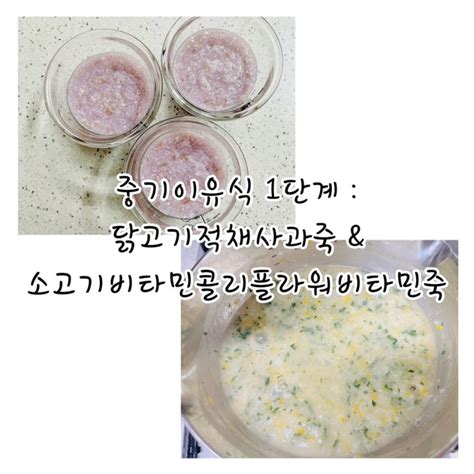 육아정보 중기이유식 1단계 닭고기적채사과죽사과퓨레 And 소고기비타민콜리플라워단호박죽 만들기 네이버 블로그