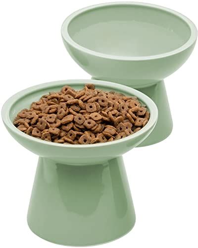 Best Raised Cat Bowls Elevated Feeding Solutions For Your Feline Friend