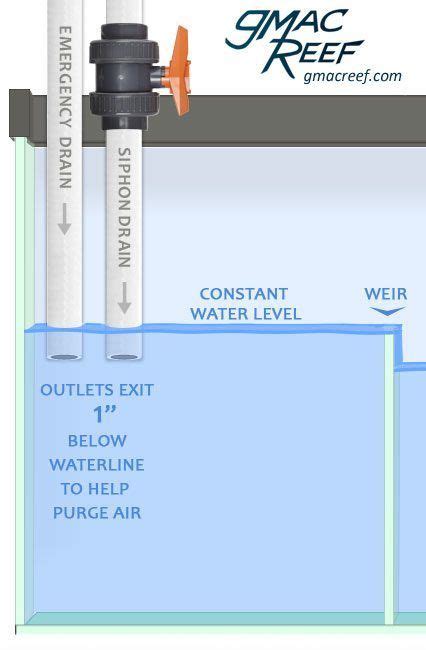 Herbie Overflow Plumbing Guide For Quiet Reef Aquariums Gmacreef