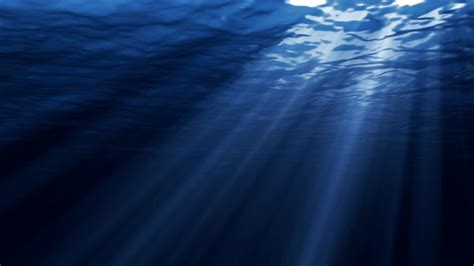 Deep Sea Wallpaper 4k - 1920x1080 - Download HD Wallpaper - WallpaperTip