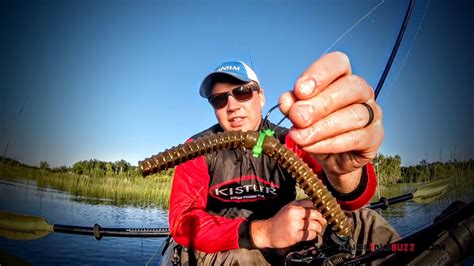 Kayak Fishing For Largemouth Bass Youtube