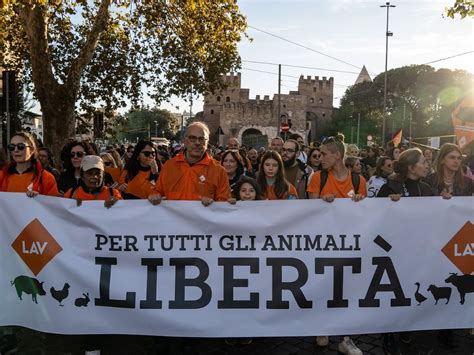 In A Roma Per Gridare Gi Le Mani Dai Santuari Oggi Presidio E