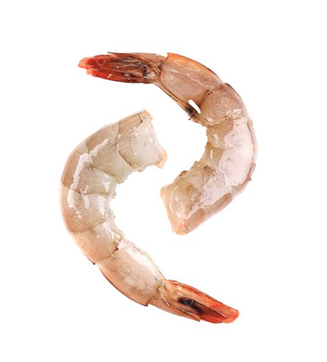 Camarones Crudos Cerca Blanco Pacífico Png Dibujos Preparar Alimento Cerca De Png Imagen Para