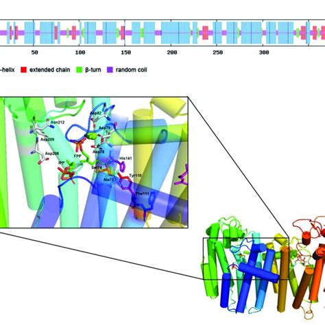 Predicting Secondary Structure And 3D Model Of CrtE A Prediction Of