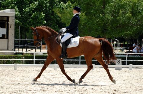 Proclamación de Campeones de Madrid de Doma Clásica 2017 en el Club de