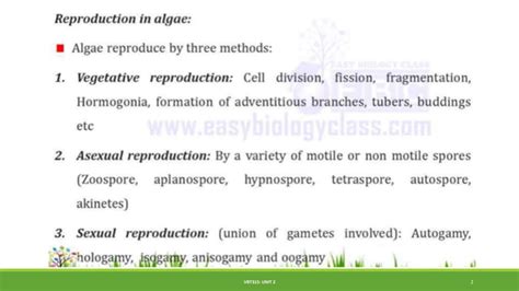 Reproduction Life Cycle Of Micro And Macro Algae PPT