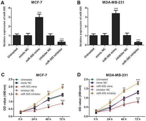 Downregulation Of Mir‑505 Promotes Cell Proliferation Migration And