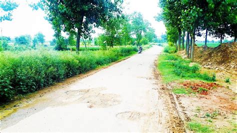 Agriculture Land For Sale Bigha In Bareilly Uttar Pradesh Price