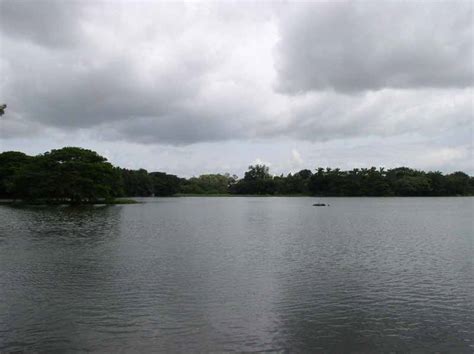 Karanji Lake, Mysore - Timings, Boating, Best Time to Visit