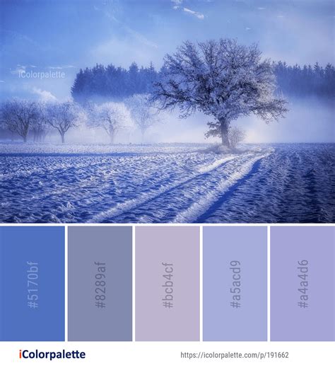 Winter Color Palette Ideas From Blue Nature Images