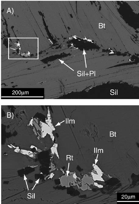 BSE Images Showing Examples Of Small Rutile And Ilmenite Grains Found