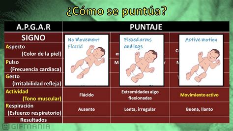 Descubre qué es y en qué consiste la prueba de Apgar Todo lo que