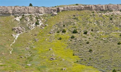 Buffalo Jump State Park in Montana - AllTrips