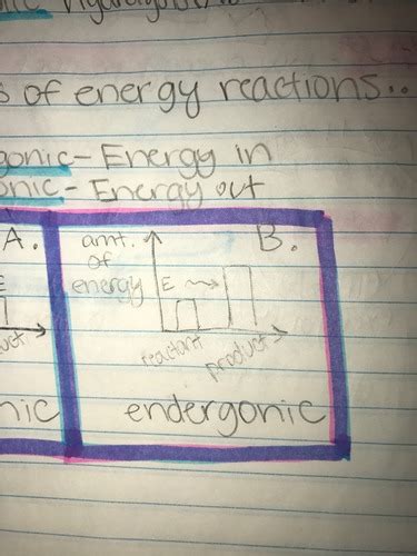 Energy Test Biology Flashcards Quizlet