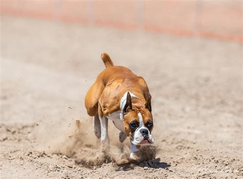 Fast CAT® – which stands for Coursing Ability Test – is a timed 100 ...