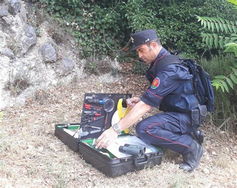 Incendi Boschivi Rafforzati Controlli E Attivit Di Prevenzione Dei