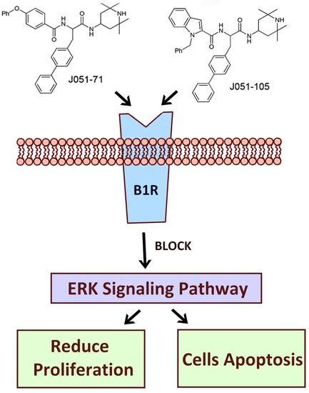 Molecules Free Full Text Novel Bradykinin Receptor Inhibitors