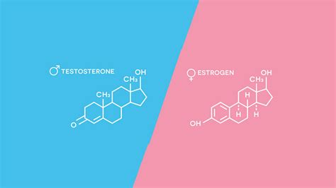 Editie Migraine Female Sex Hormones In Men With Migraine