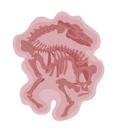 Premium Vector Dinosaur Skeleton Isolated On A White Background