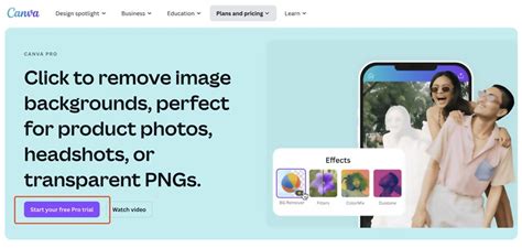 complete guide  removing background  canva