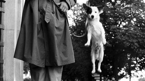 Jumping Dogs And Photo-Toons: Meet Photographer Elliott Erwitt | WBUR & NPR