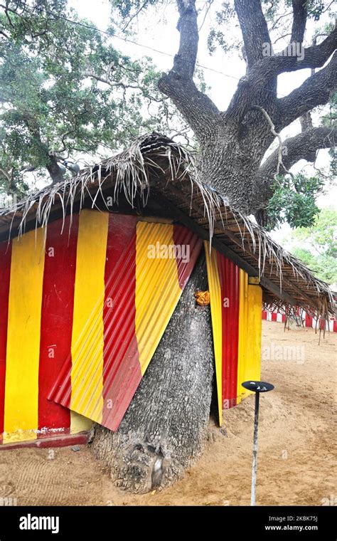 Murikandy Pillayar Hindu Temple Hi Res Stock Photography And Images Alamy