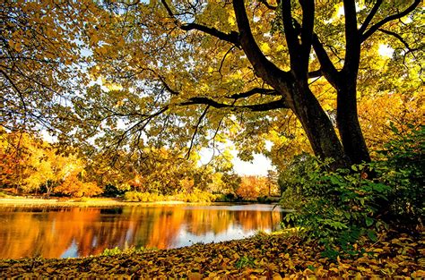 Fonds D Ecran Saison Automne Rivières Arbres Feuillage Nature Télécharger Photo