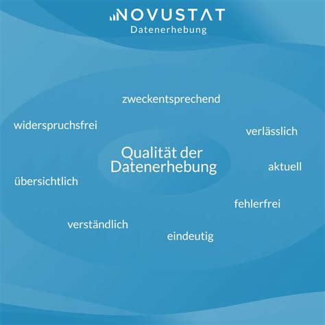 Datenerhebung Vom Profi NOVUSTAT Statistik Beratung