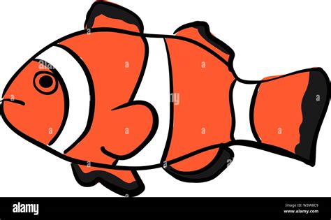 Clownfish Illustration Vector On White Background Stock Vector Image