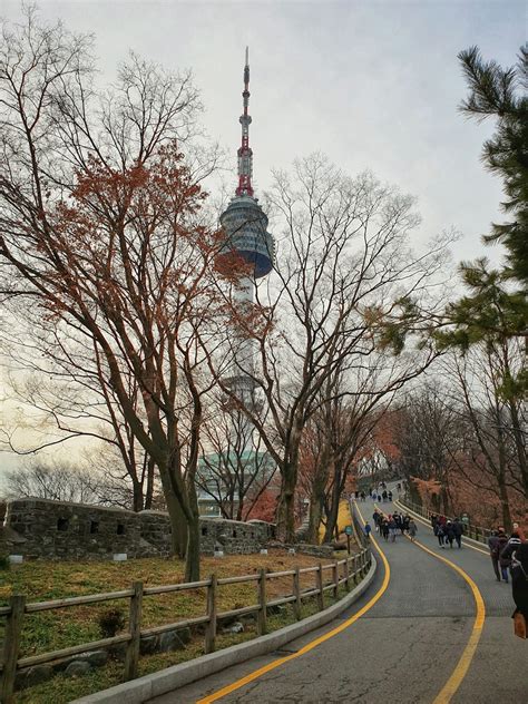 Namsan Tower Pictures | Download Free Images on Unsplash