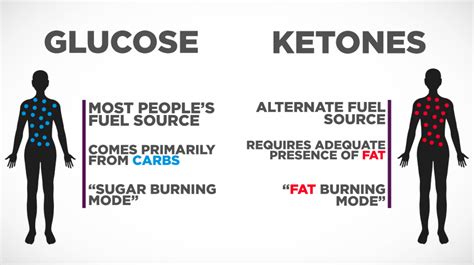 What Is Ketosis Biglee