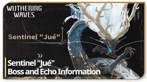 Jué Echo And Skills Z01 Wuthering Waves Wuwa｜game8