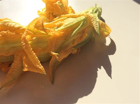 Courgette flowers, stuffed with feta and yogurt - Eat Yourself Greek