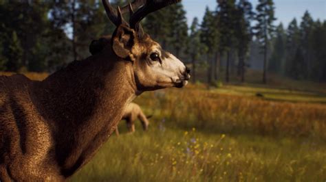 Way Of The Hunter Review (PS5) - Accessible Hunting Sim Almost Shoots Itself in the Foot ...