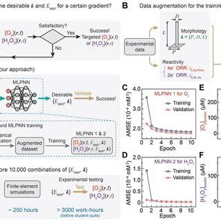 The Development Of Inverse Design For Electrochemically Generated O