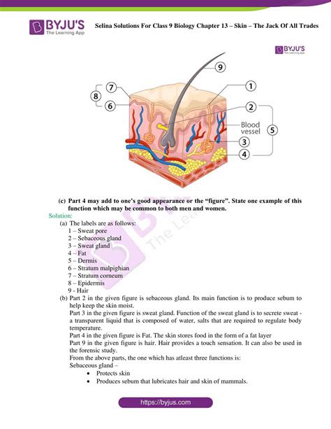 Selina Solutions Class 9 Concise Biology Chapter 13 Skin The Jack Of All Trades Download Free Pdf