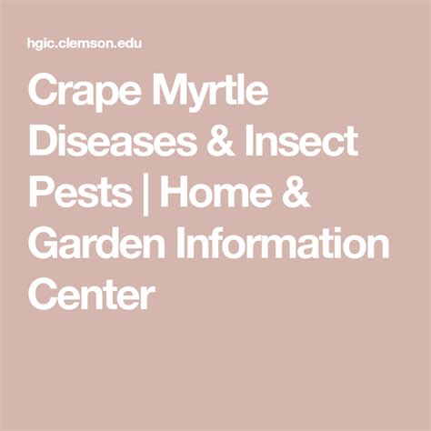 Crape Myrtle Diseases & Insect Pests | Home & Garden Information Center ...